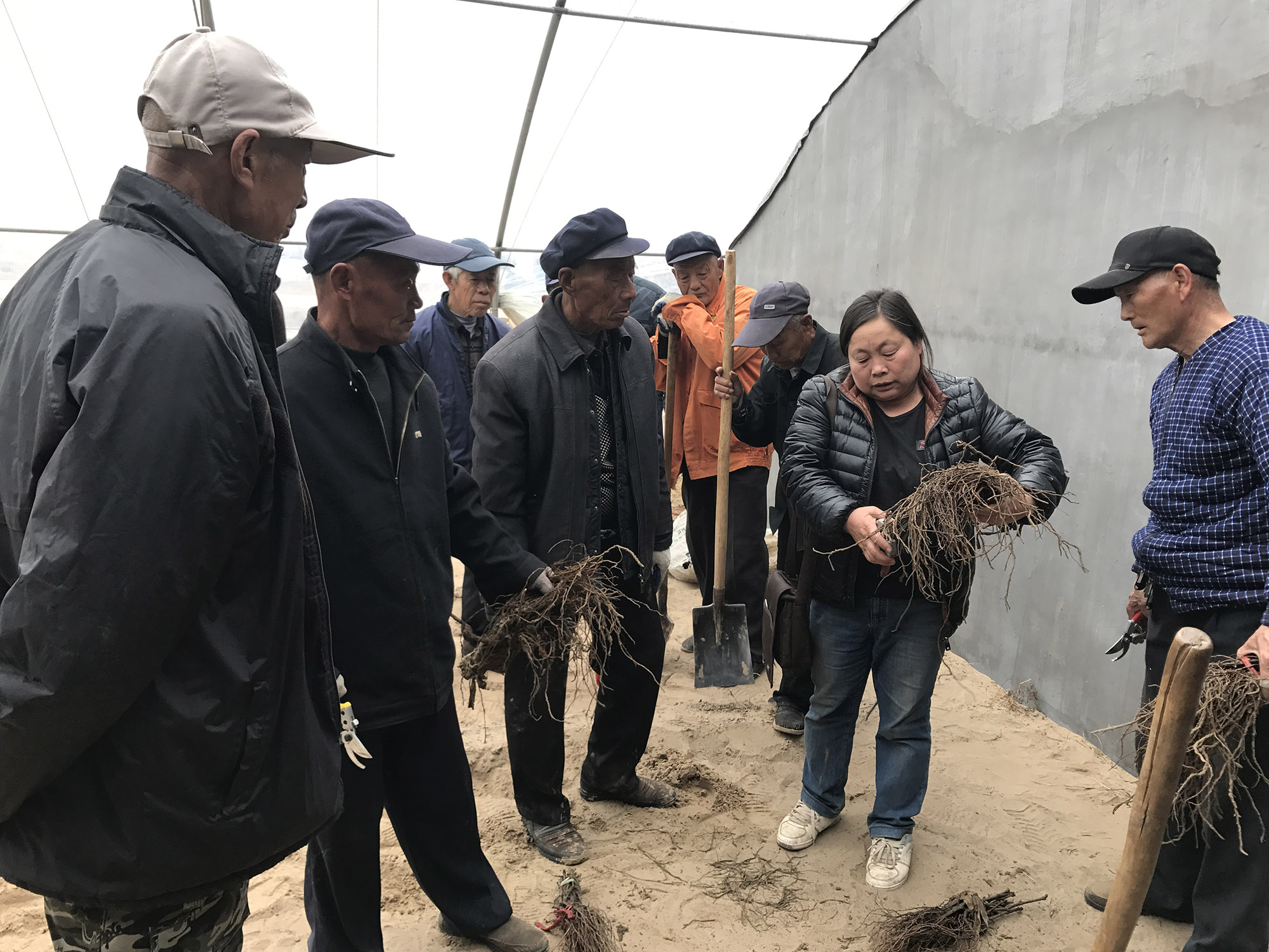 区林业局大棚葡萄栽培培训班.JPG
