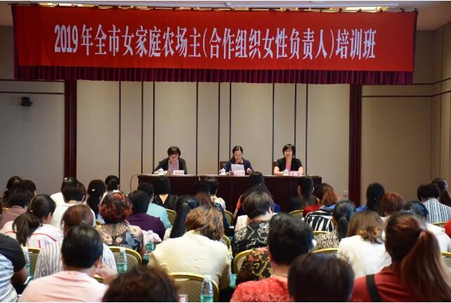QQ截图20190621165139.jpg