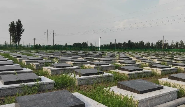 QQ_1722587338088.png