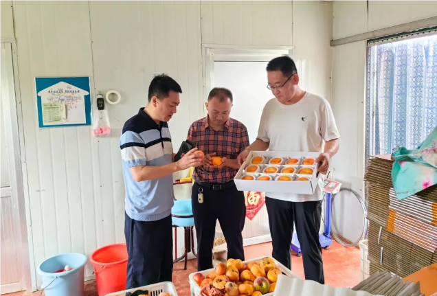 QQ_1722587357270.png